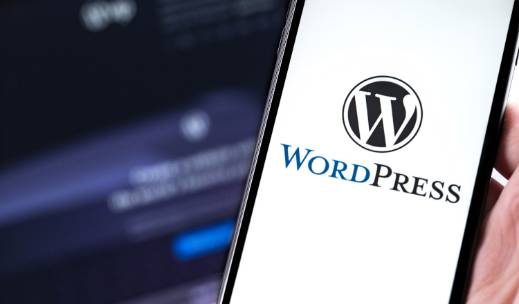 WordPress Seiten als App darstellen: Mit diesen Plugins geht das.